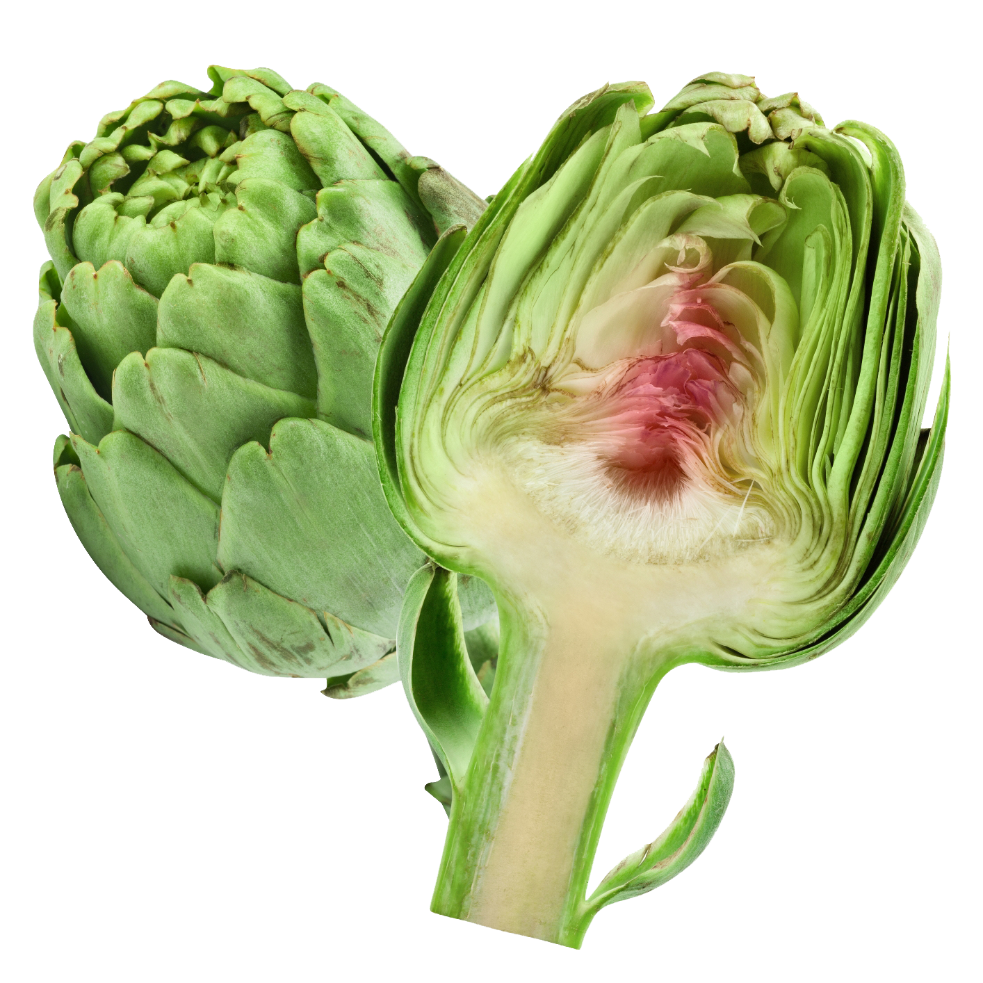 Artichokes Transparent PNG Image