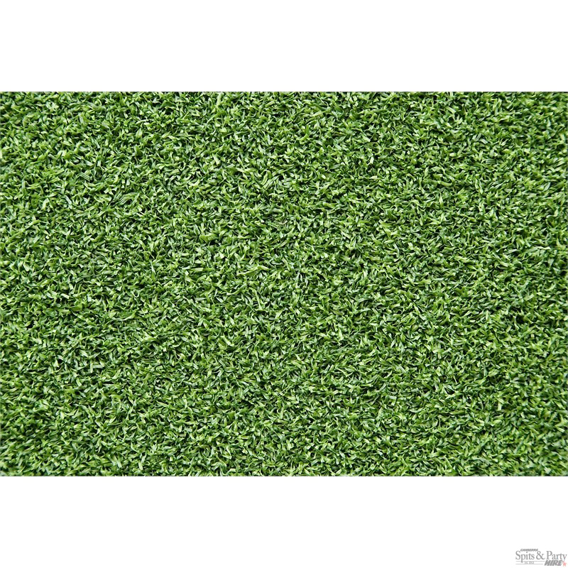 Fake Grass Download HD Image Free PNG PNG Image