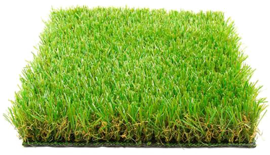 Fake Grass Image HD Image Free PNG PNG Image