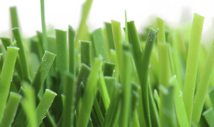 Fake Grass Free PNG HQ PNG Image