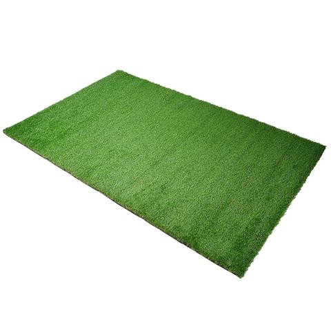 Fake Grass Photos Free PNG HQ PNG Image