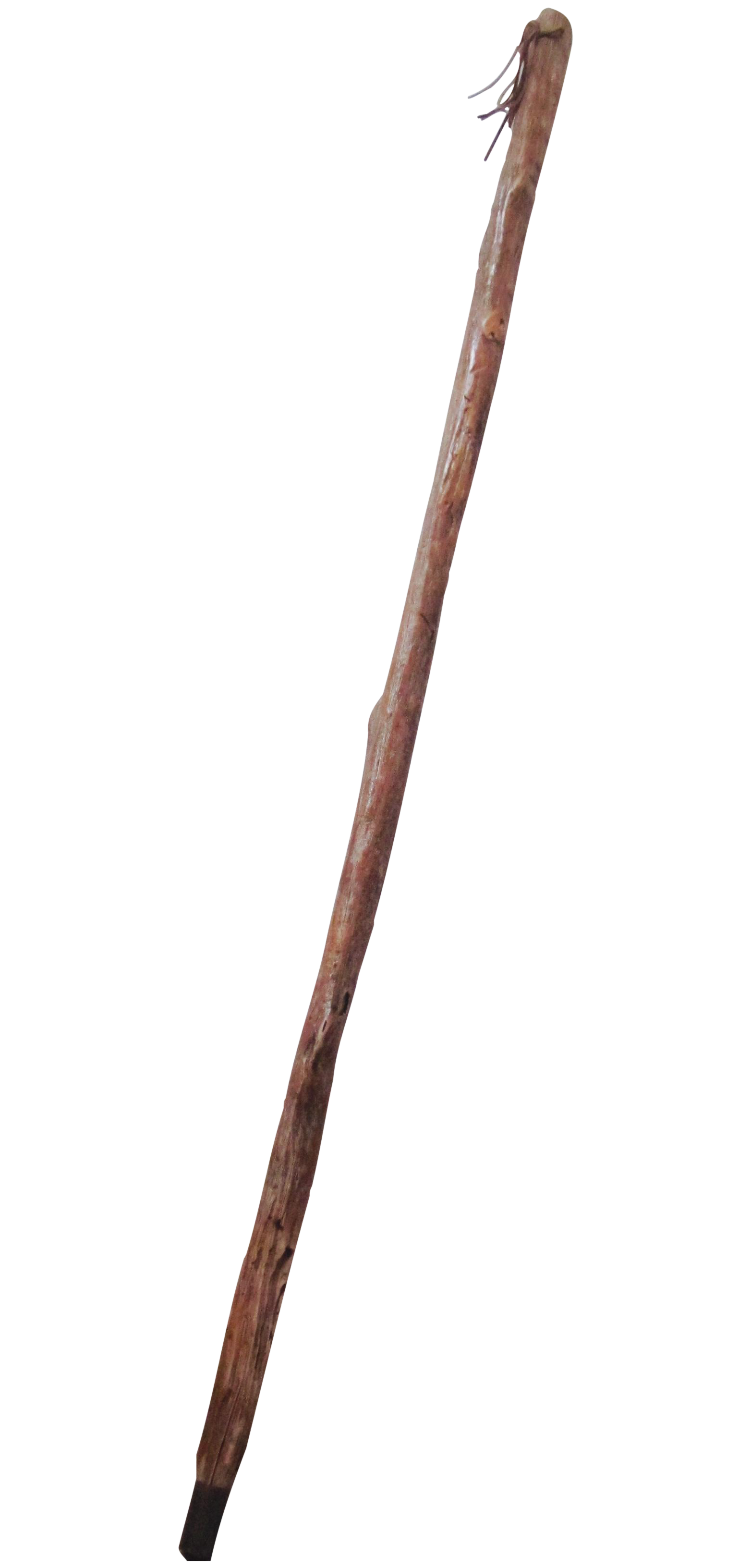 Walking Stick PNG Download Free PNG Image