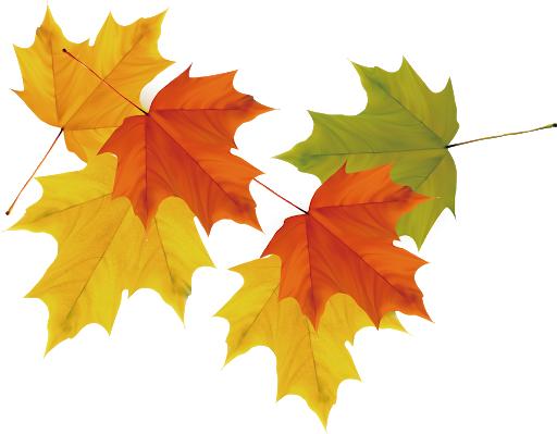 Autumn Falling Vector Leaf Download HQ PNG Image