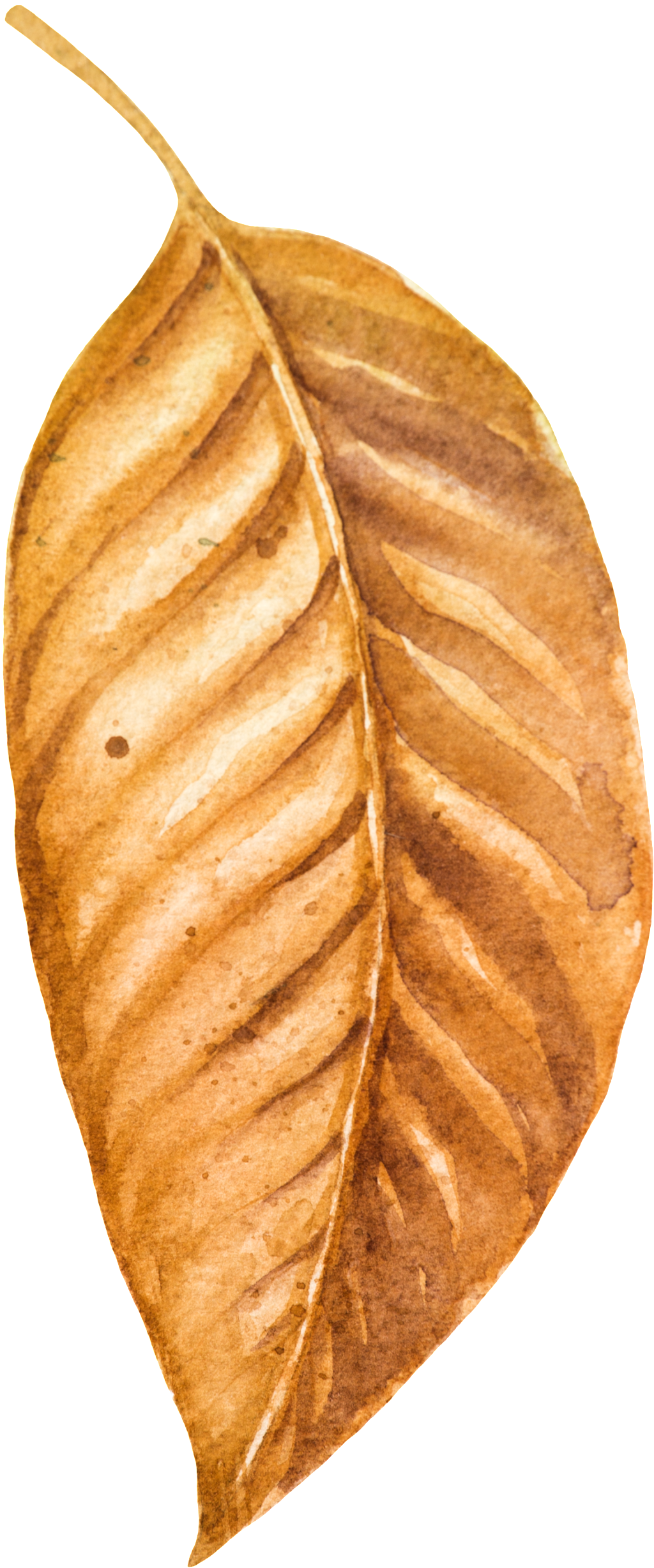 Autumn Vector Leaf Free HD Image PNG Image