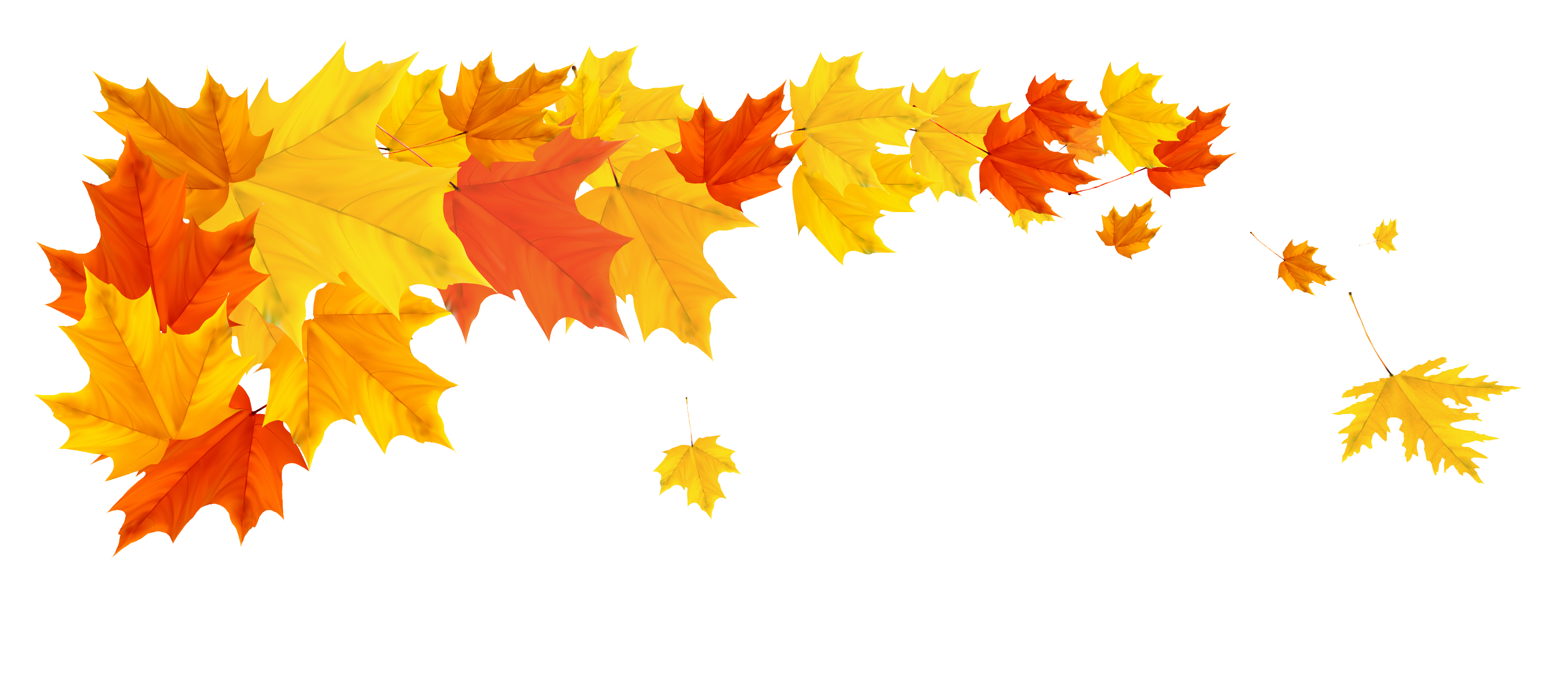 Autumn Golden Leaf Photos HD Image Free PNG Image