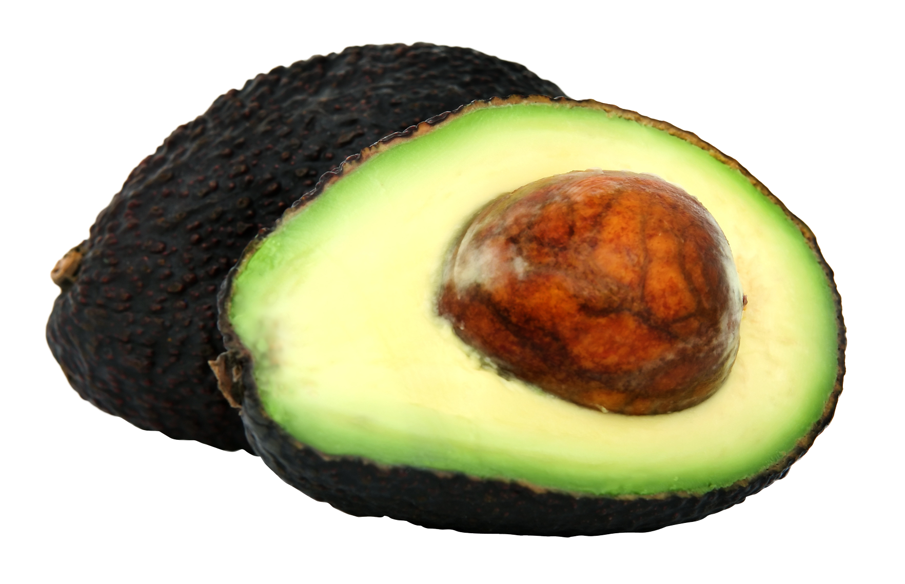 Avocado Png File PNG Image