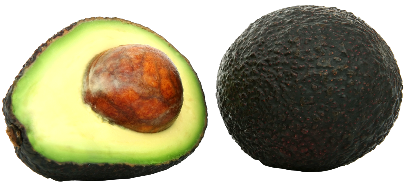 Avocado HD Image Free PNG Image