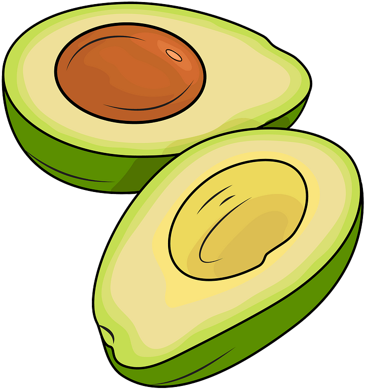 Vector Avocado PNG Download Free PNG Image