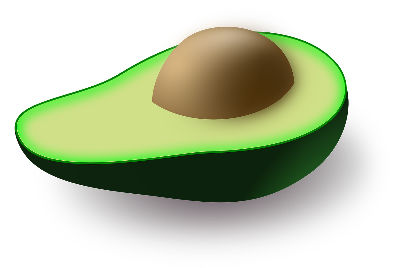 Vector Avocado Download Free Image PNG Image