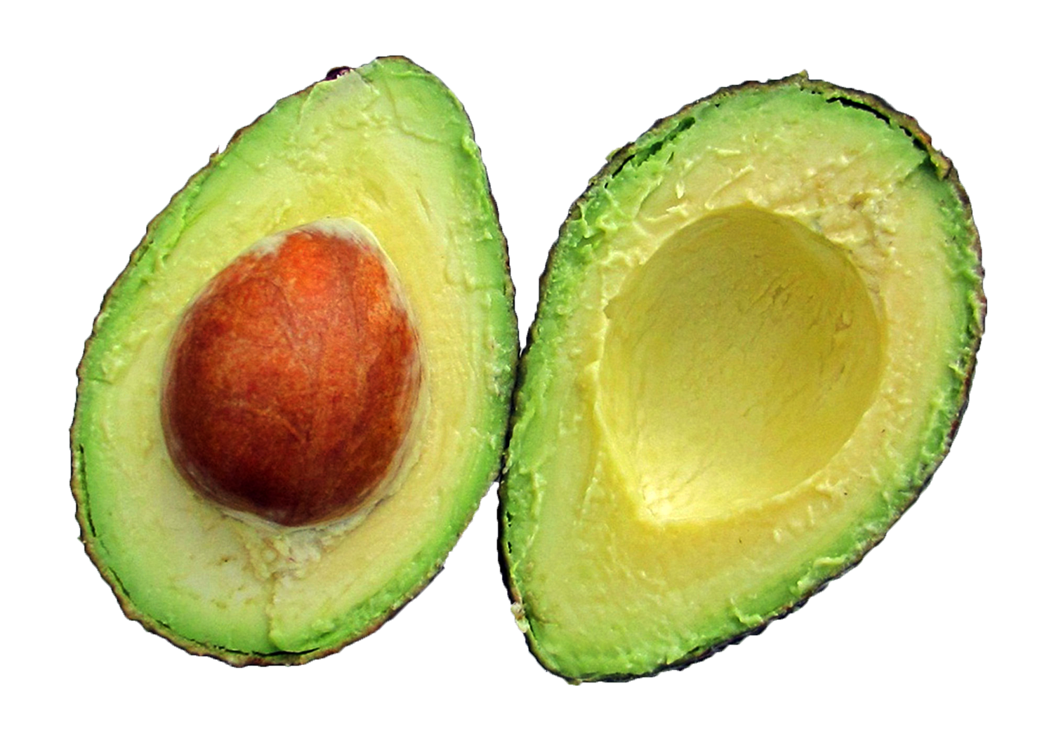 Avocado PNG Free Photo PNG Image