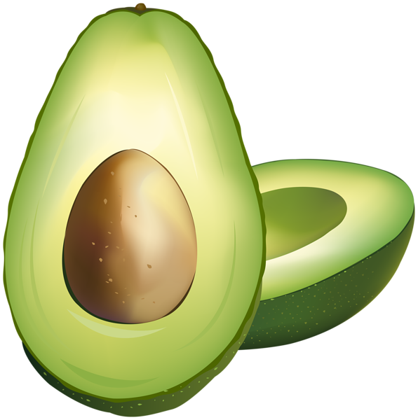 Vector Avocado Free Clipart HD PNG Image