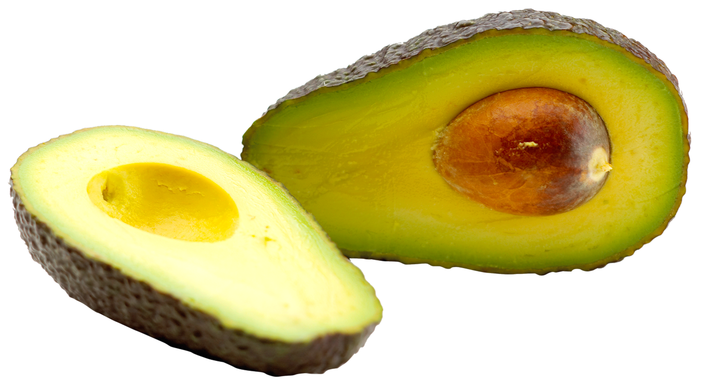 Avocado Free Clipart HD PNG Image