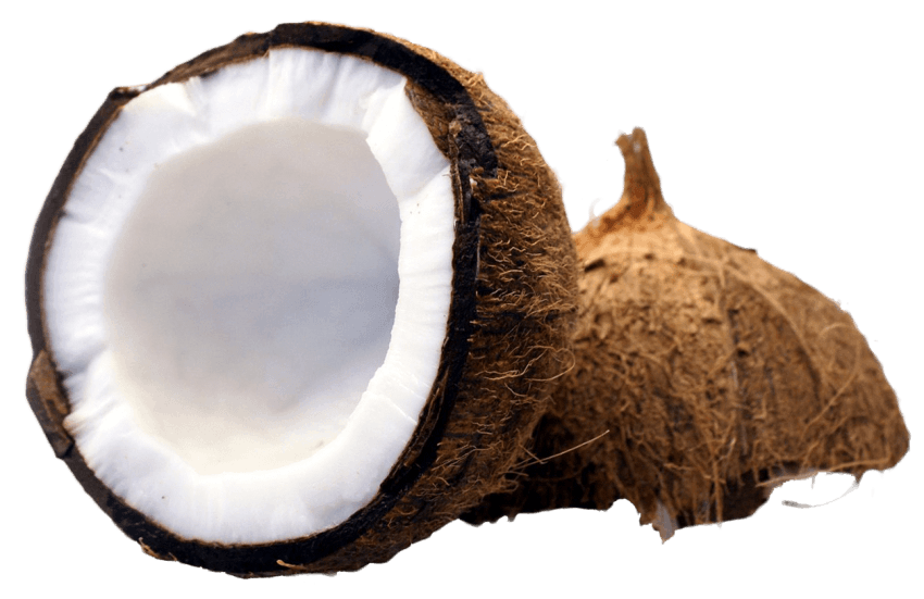 Half Coconut Free Transparent Image HQ PNG Image