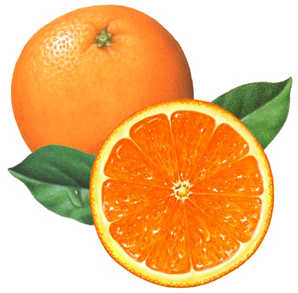 Half Orange Free HQ Image PNG Image