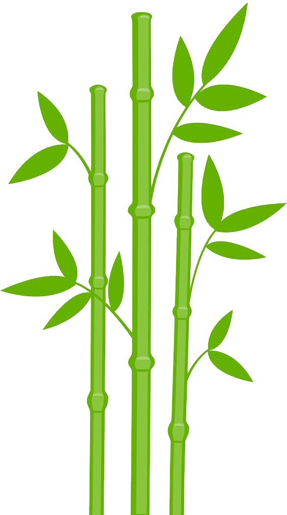 Bamboo Transparent Image PNG Image