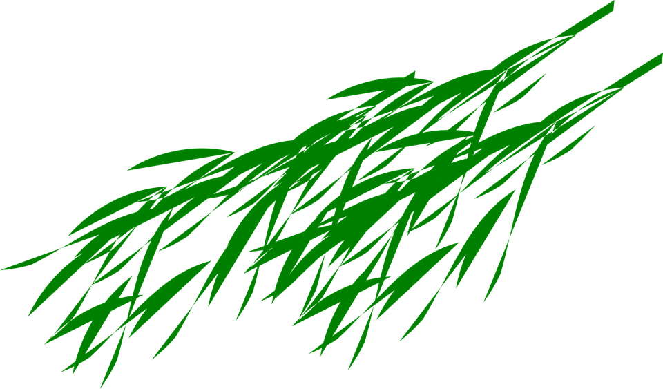 Bamboo Leaf Transparent Image PNG Image