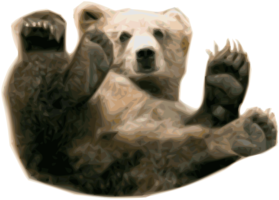 Bear Png 13 PNG Image