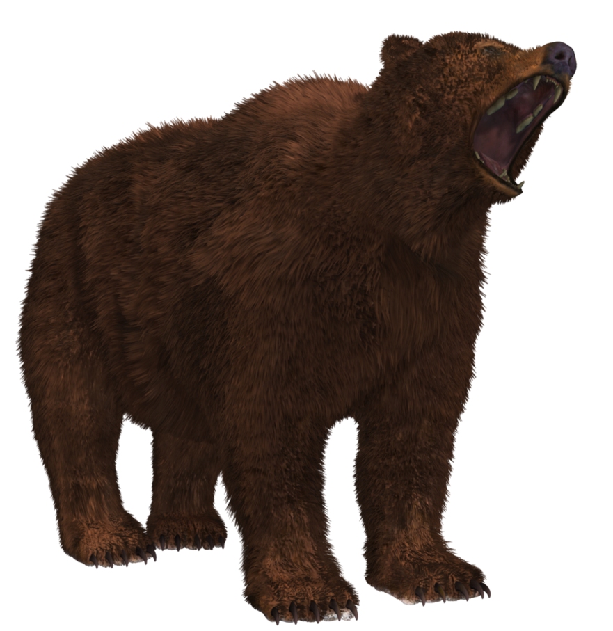 Bear Png 8 PNG Image