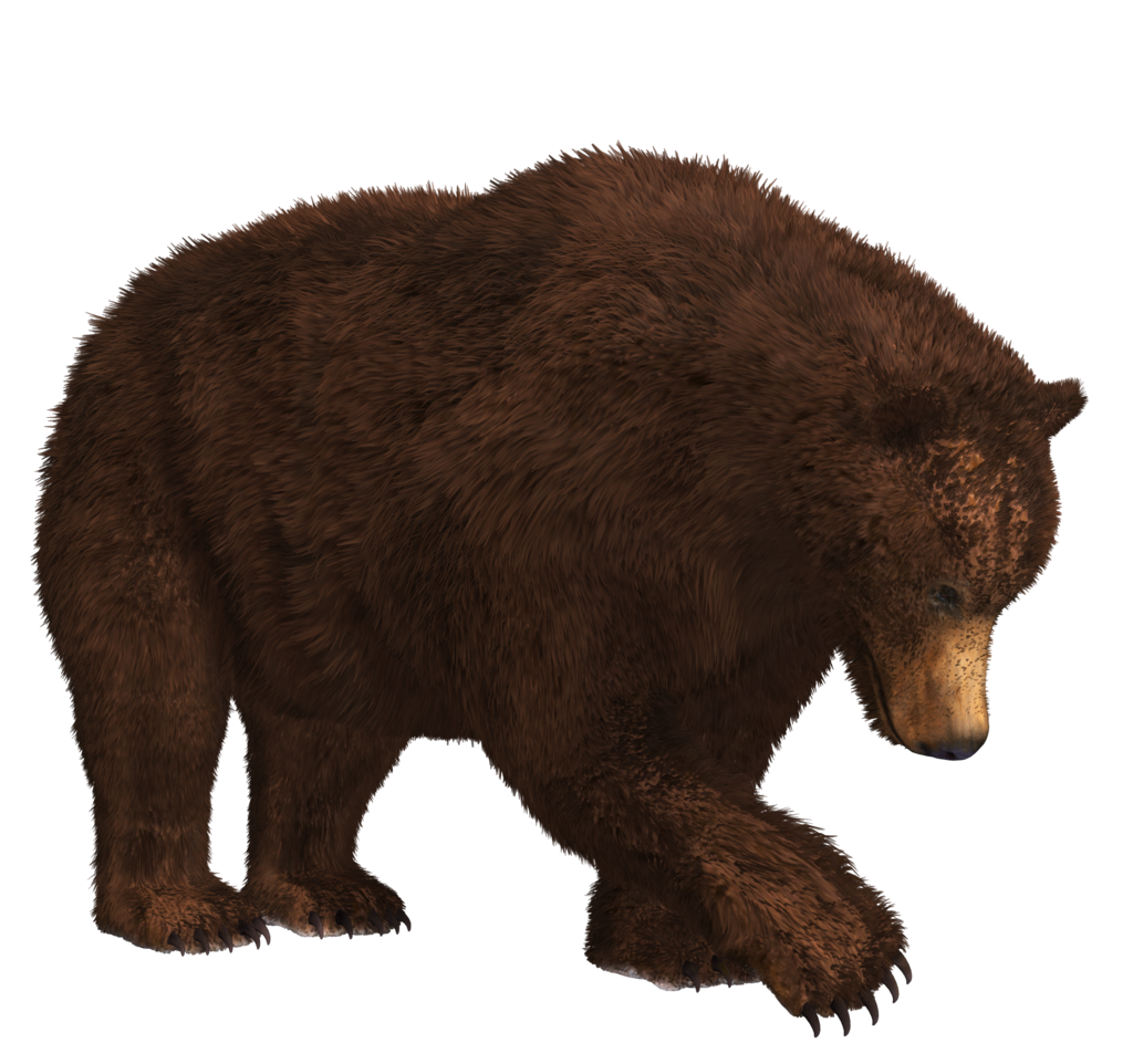 Bear Png 9 PNG Image