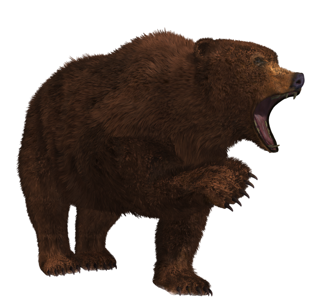 Bear Png 7 PNG Image