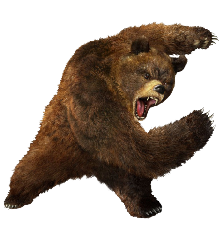 Bear Png 5 PNG Image