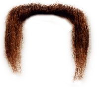 Moustache Png Image PNG Image