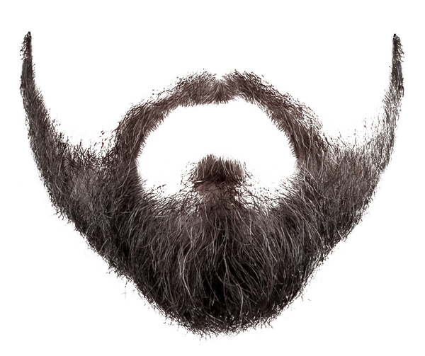 Beard Png 2 PNG Image