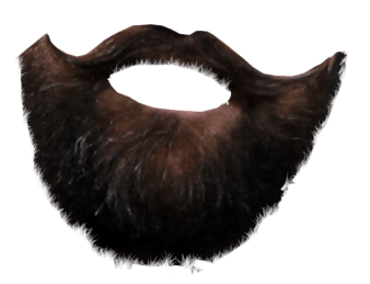 Beard Png Image PNG Image