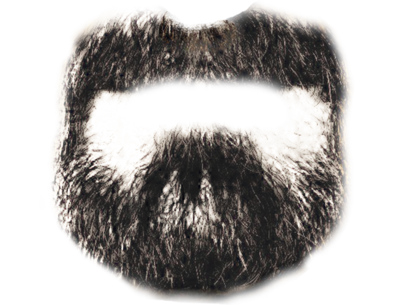 Photoshop Transparent Beard PNG Image