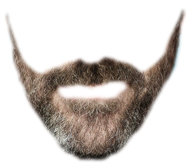 Beard Png 9 PNG Image