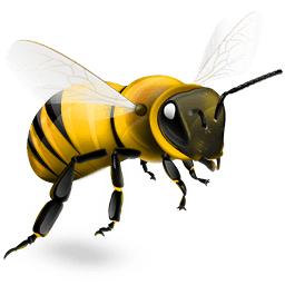 Bee Png Image PNG Image