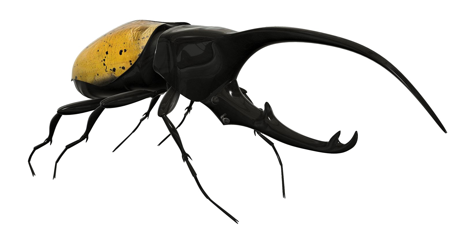 Beetle Free HQ Image PNG Image