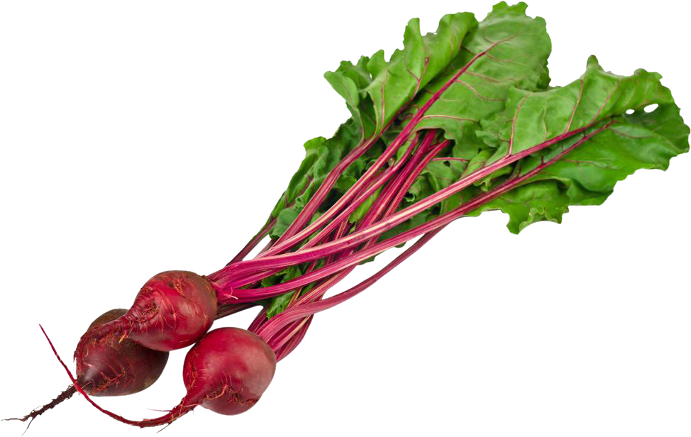 Beetroot Fresh Free Photo PNG Image