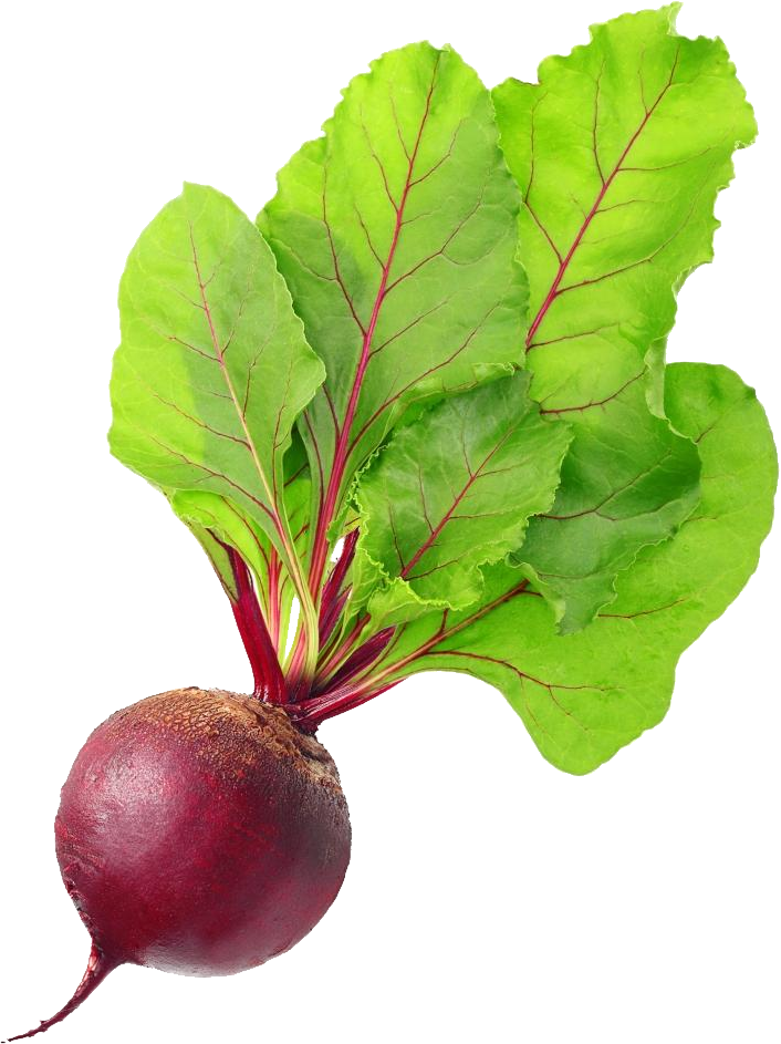 Beetroot Vegetable HD Image Free PNG Image