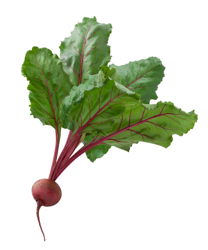 Beetroot Fresh PNG File HD PNG Image