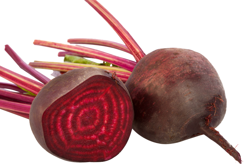 Beetroot Sliced Red Free Download Image PNG Image