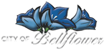 Bellflower Transparent PNG Image