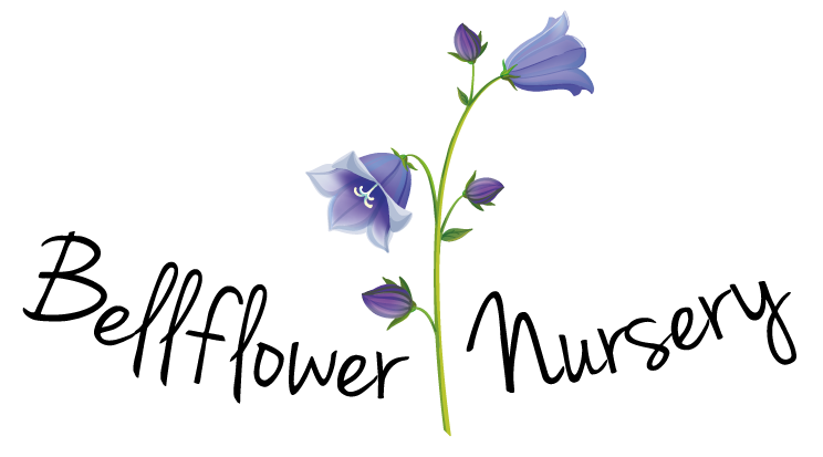 Bellflower Free Download Png PNG Image