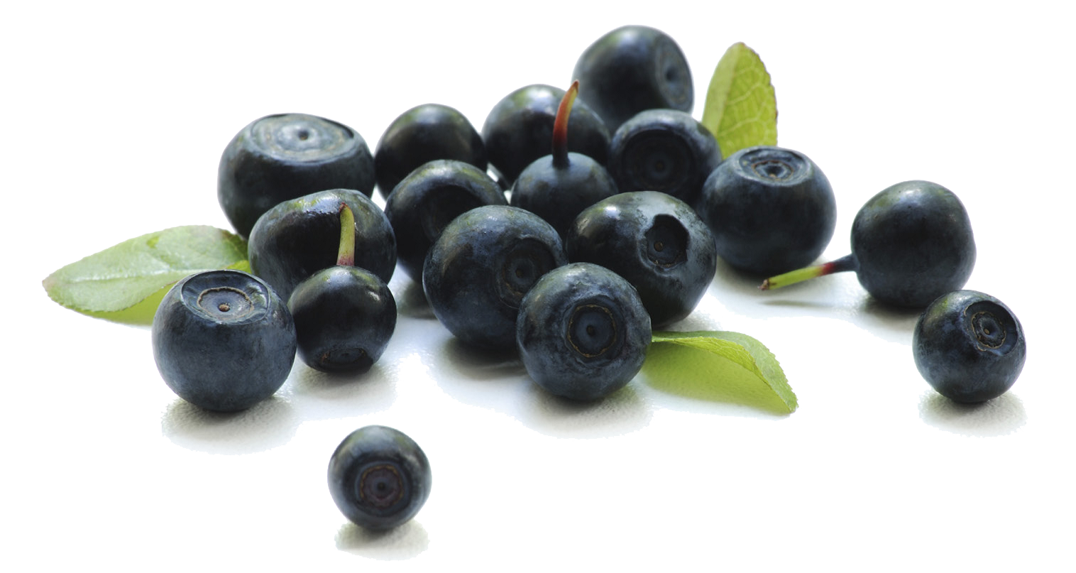 Blueberry Transparent Background PNG Image