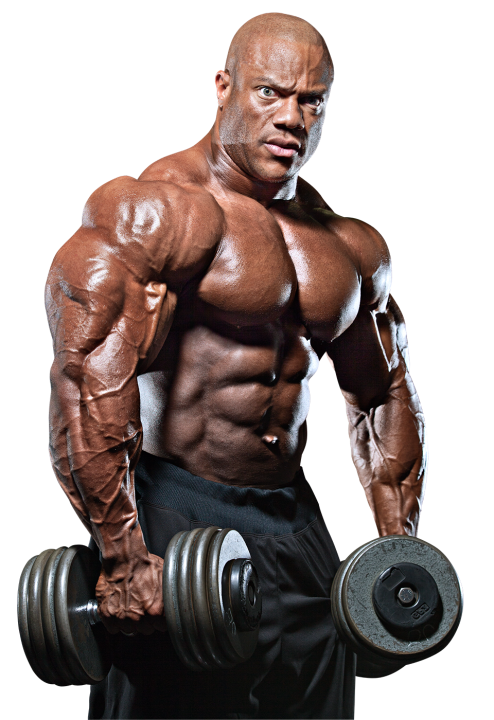 Bodybuilding Transparent PNG Image