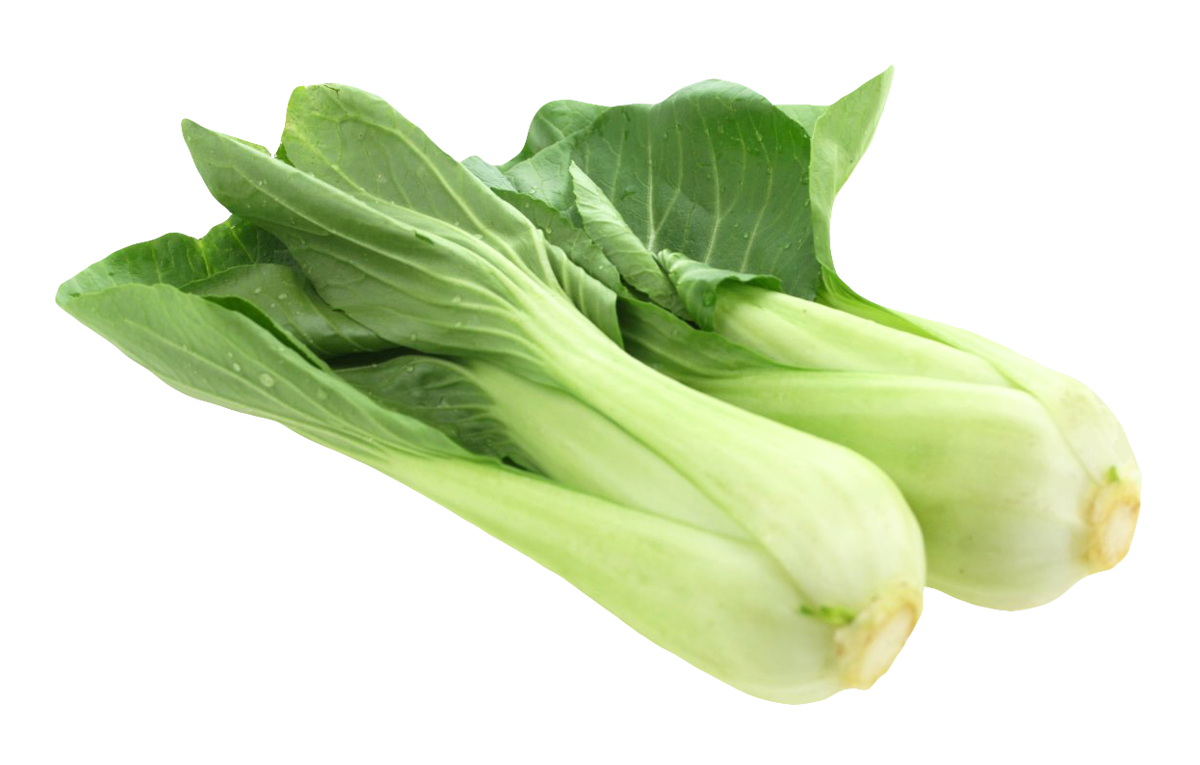 Bok Choy Free Download PNG Image