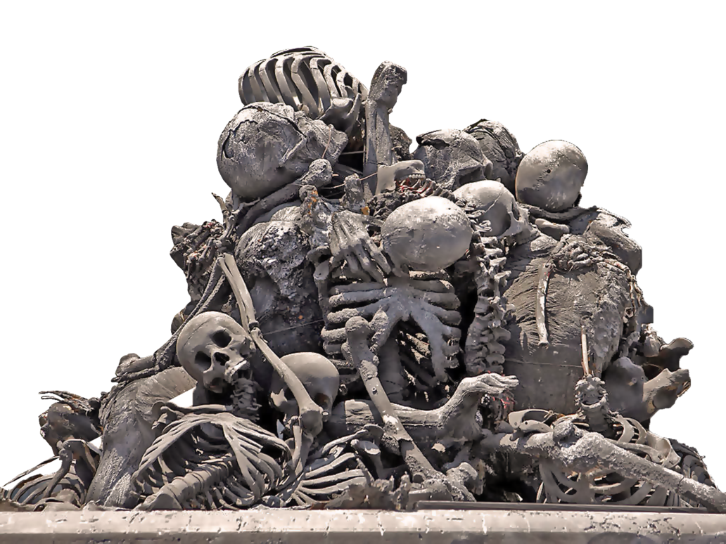 Bones Photo PNG Image