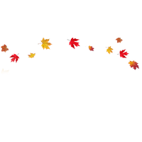 Transparent Fall Leaves Border PNG Image