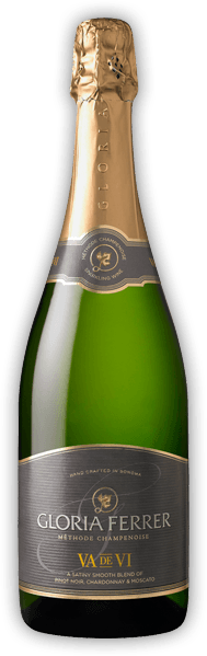 Champaign Bottle Png Image PNG Image