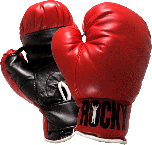 Boxing Gloves Png PNG Image