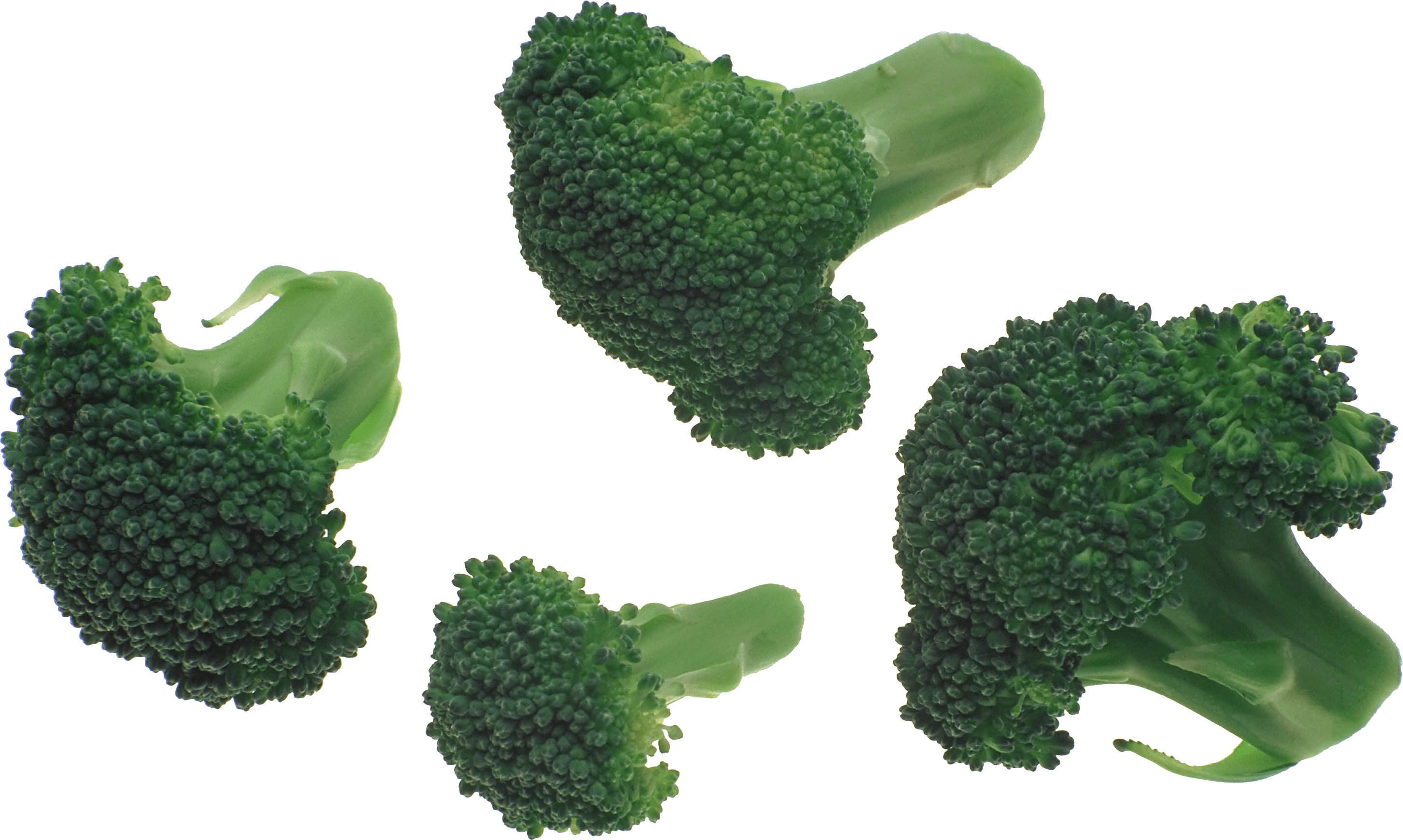 Broccoli Png Image PNG Image