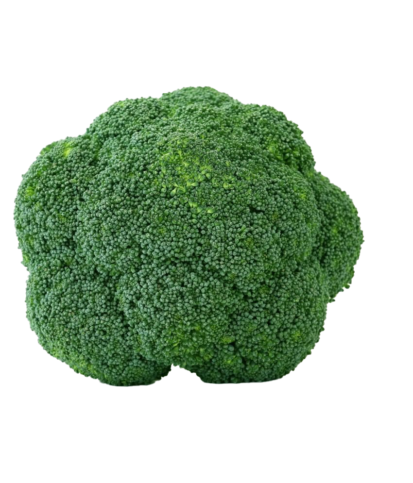 Picture Green Broccoli HD Image Free PNG Image