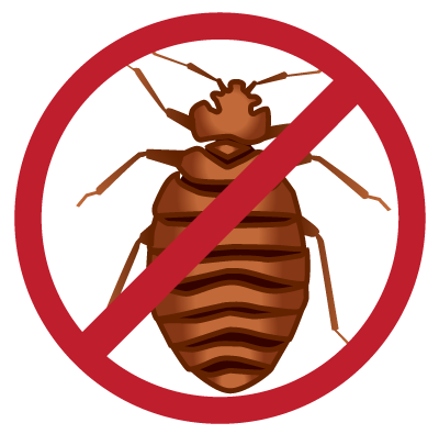 Bed Bug Image Download Free Image PNG Image