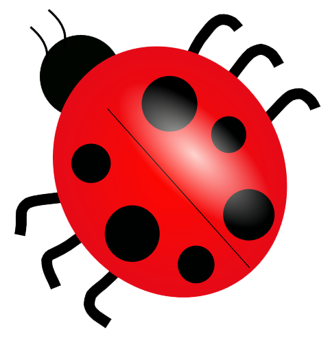 Bugs Transparent PNG Image