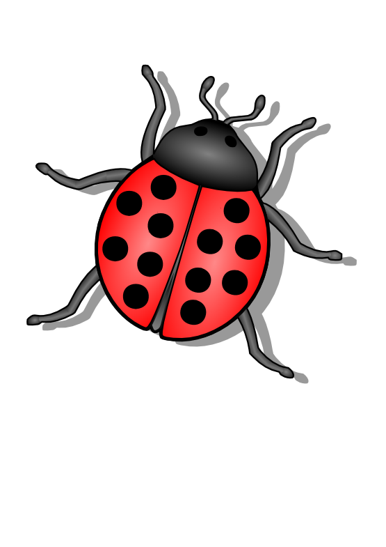 Bug Png 6 PNG Image